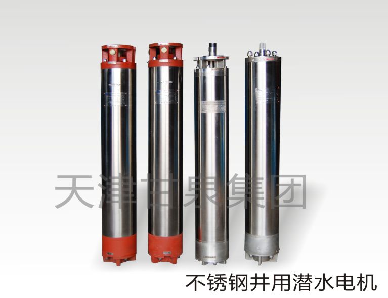 YQS/N系列(尼玛标准)潜水电机